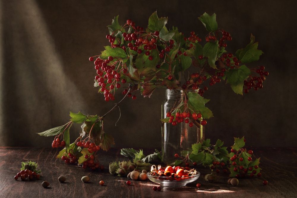 Фотография автора Дарья Шамакина