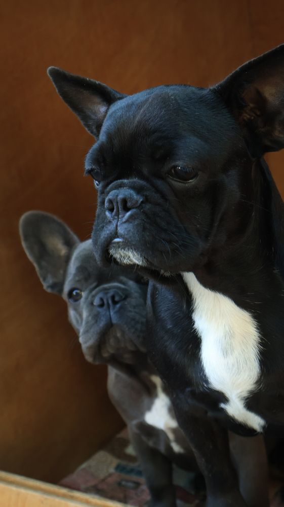 Photograph by Александра