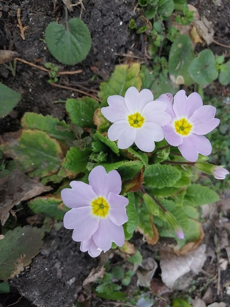 Photograph by Мила Мит