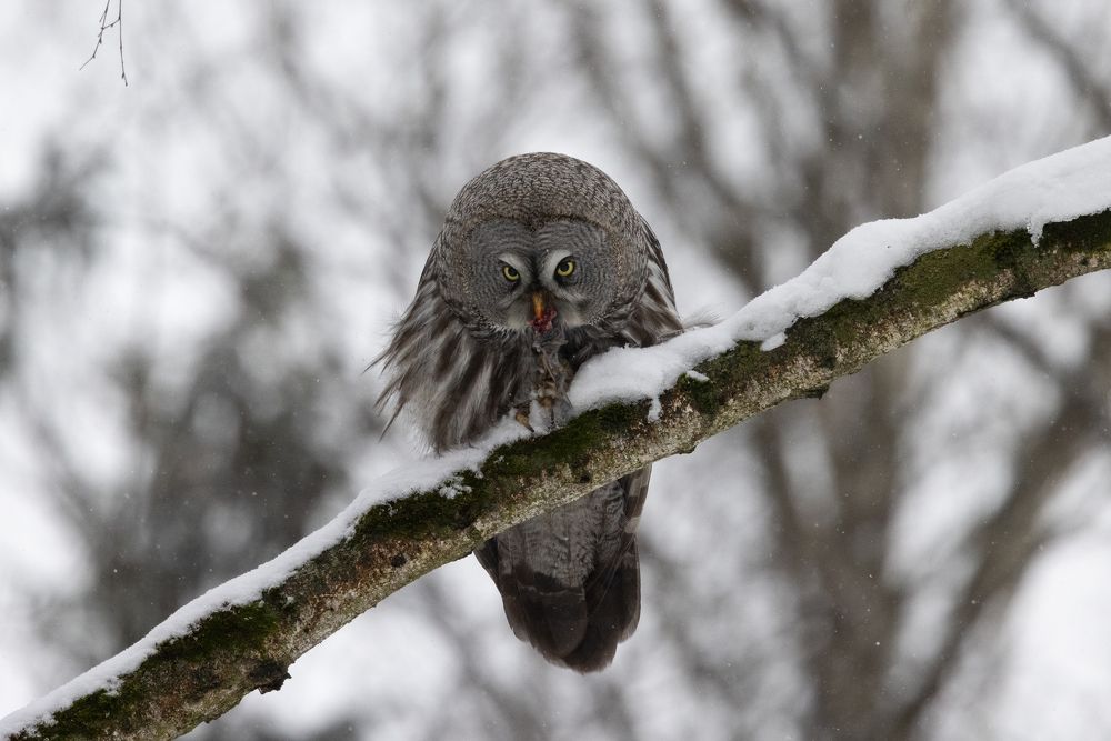 Photograph by Егор Рокита