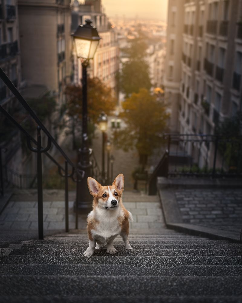 Photograph by Rosie Phang