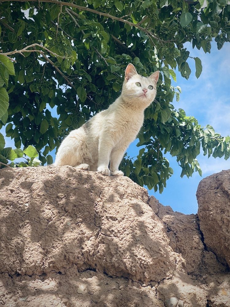 Photograph by Zohreh sadr