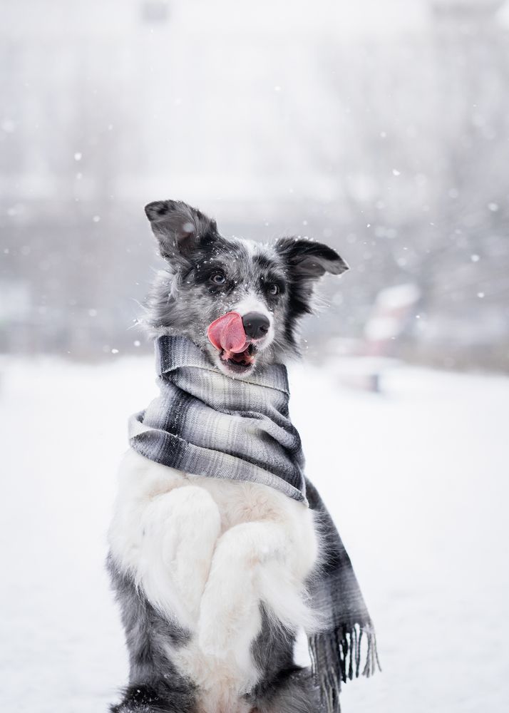 Фотография автора Валерия Капитонова