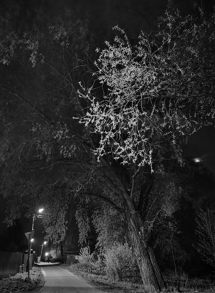 Photograph by Юлия