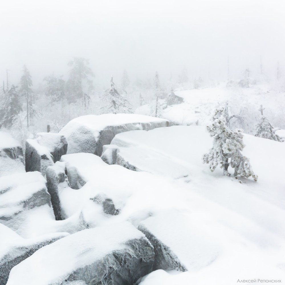 Photograph by Алексей Ретюнских