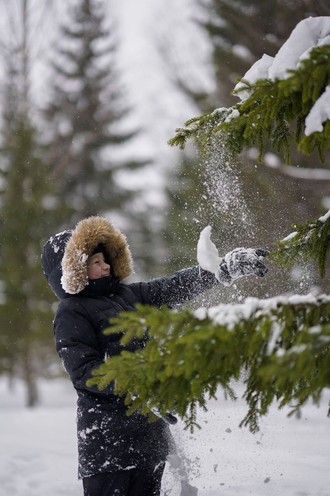 Зимнее счастье