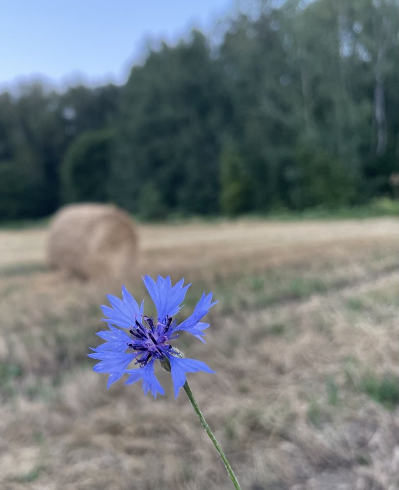 Photograph by Ирина Соловейченко