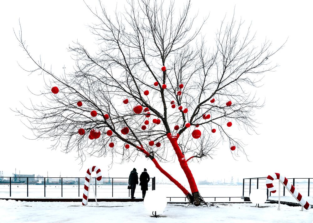 Photograph by Дьяченко Алёна