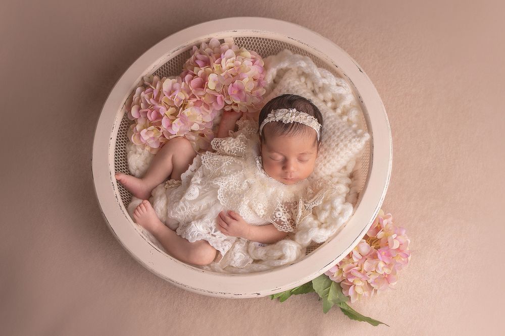 Photograph by OKSANA GIMELFARB