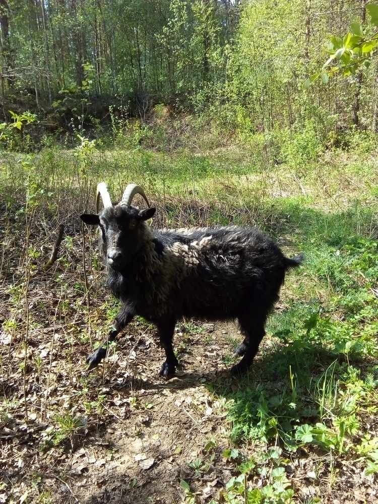 Photograph by Людмила Ковалева