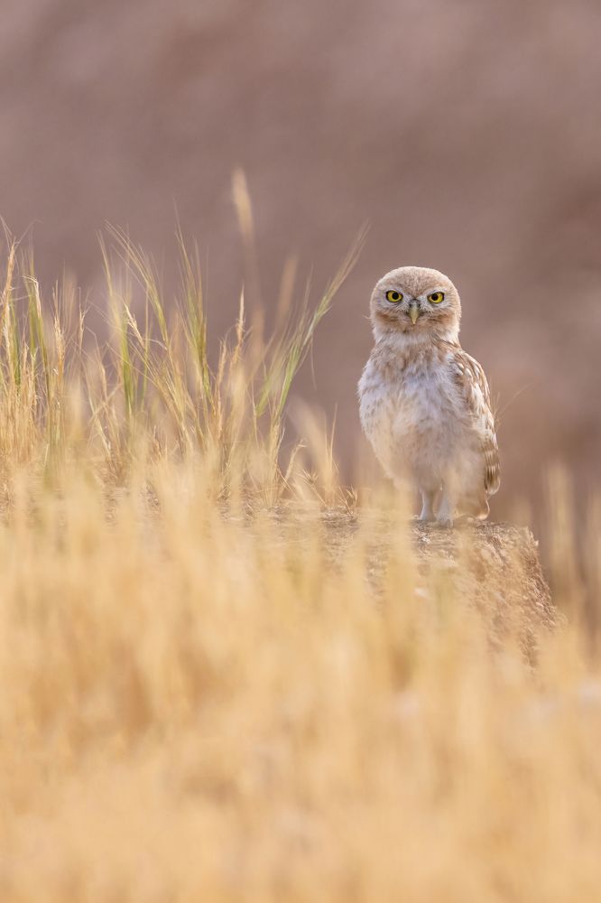 Photograph by dana berger