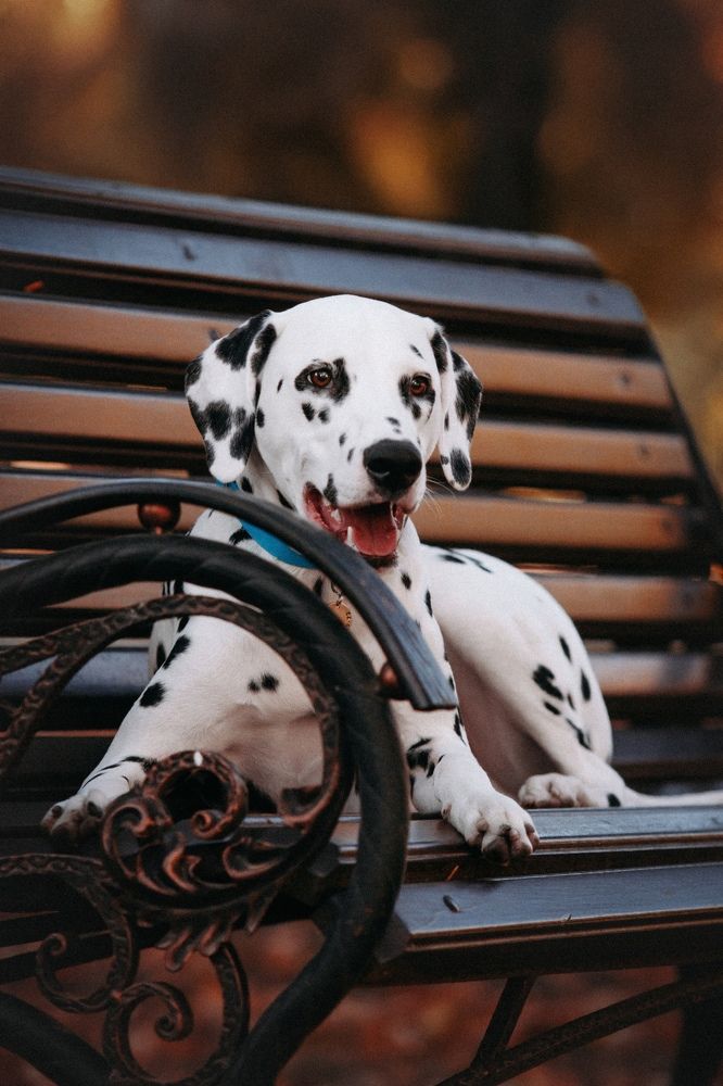 Photograph by Ангелина Ледовская