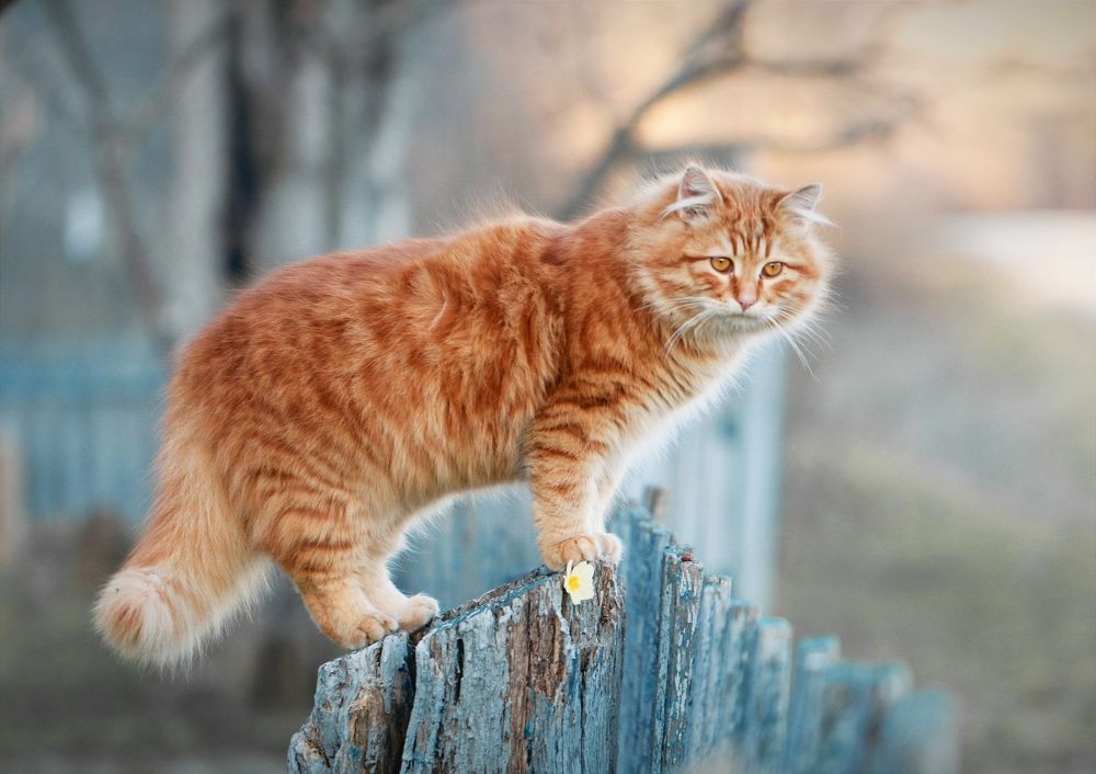 Photograph by Татьяна Исаева