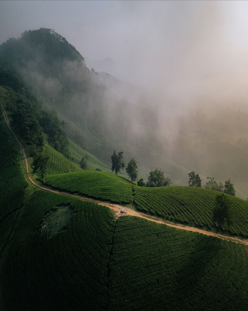 Photograph by Анастасия Сауль