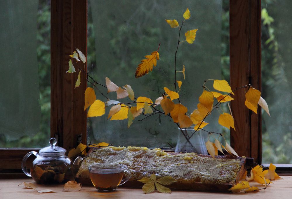 Фотография автора Дарья Шамакина