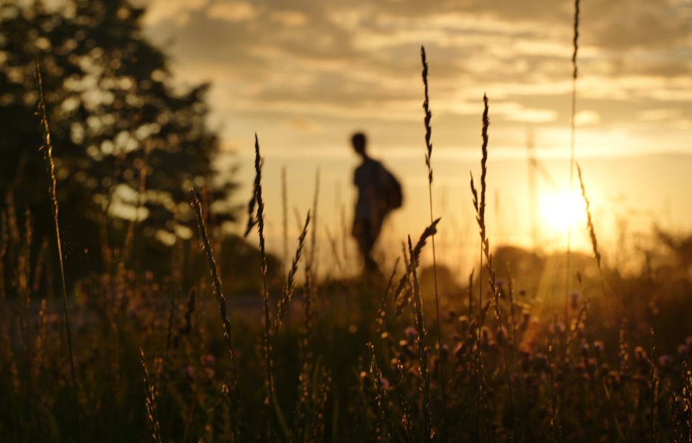 Фотография автора Наталья Белова