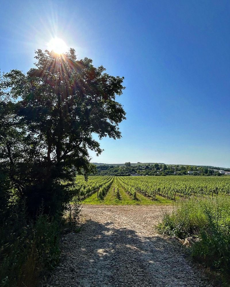 Photograph by Олег Ведерников