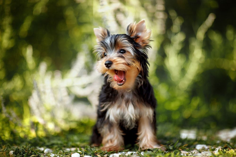 Photograph by Марина Фрейман