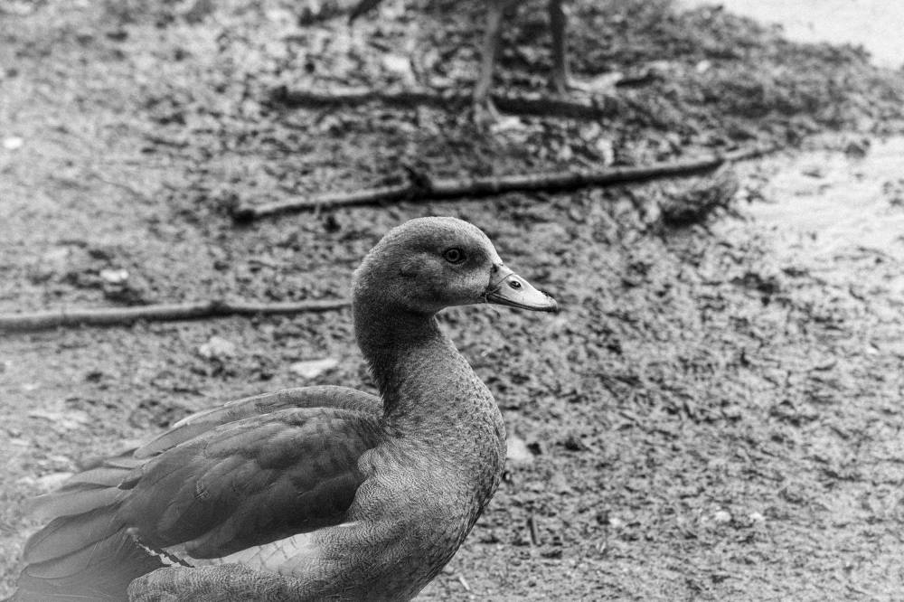 Photograph by Nicole Maria Oestreich