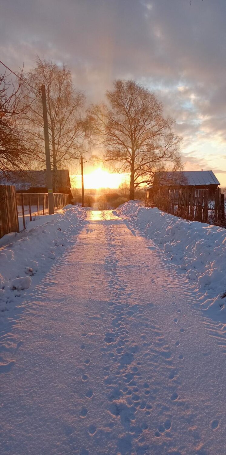 Photo #10425479