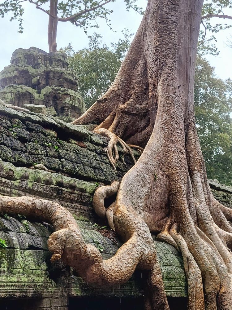 Фотография автора Светлана Зимина