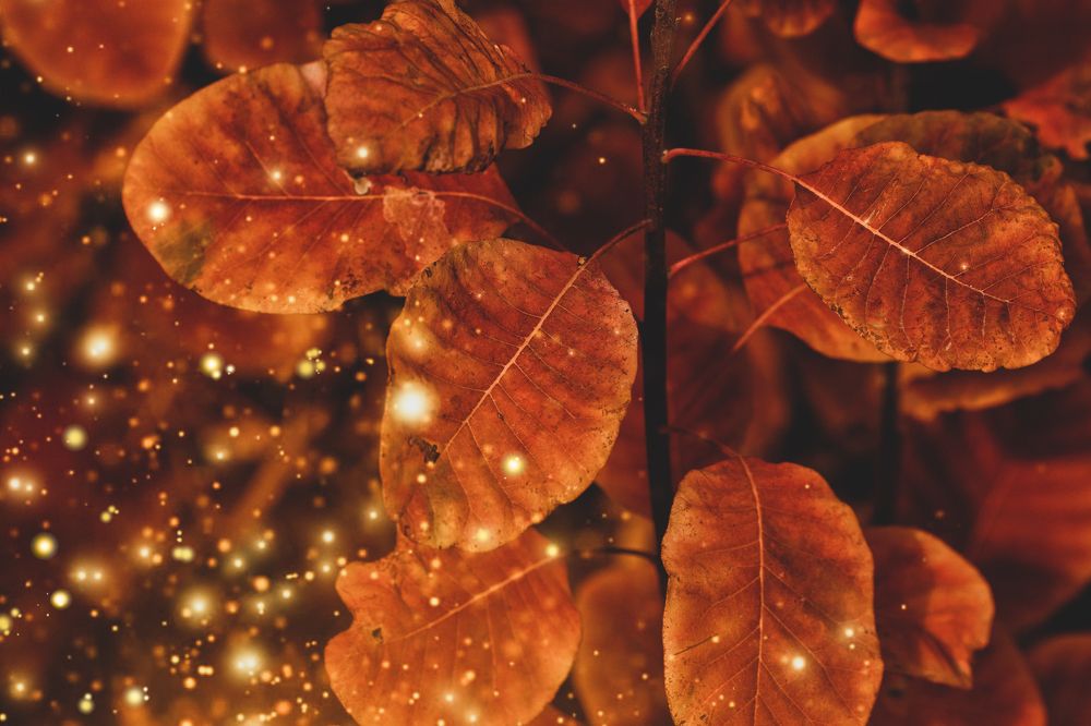 Photograph by Оксана Пономаренко