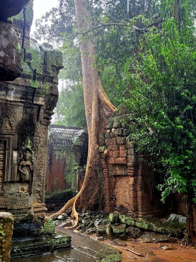 Фотография автора Светлана Зимина