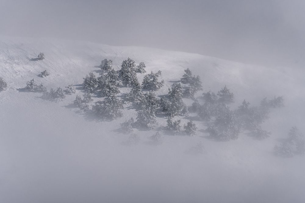 Photograph by Дмитров Андрей