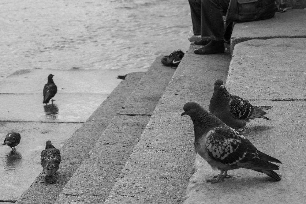 Одиночество или уединение?