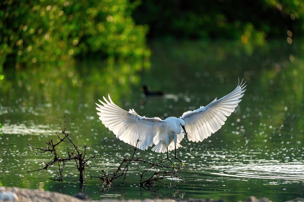 Photograph by krithiga mohan