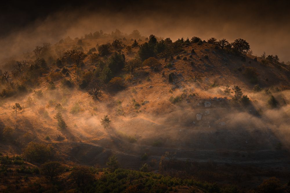 Photograph by Дмитров Андрей