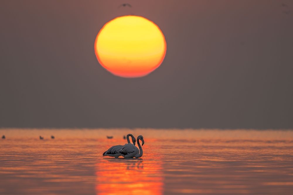 Photograph by krithiga mohan