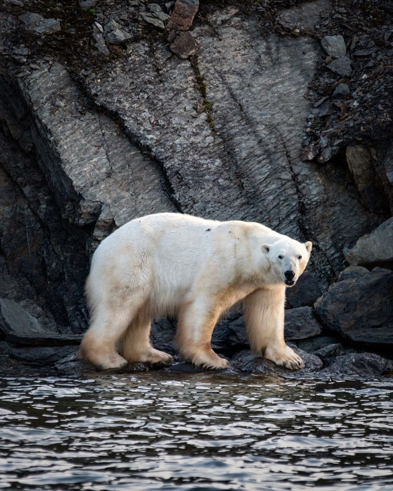 Фотография автора Дмитрий Дон