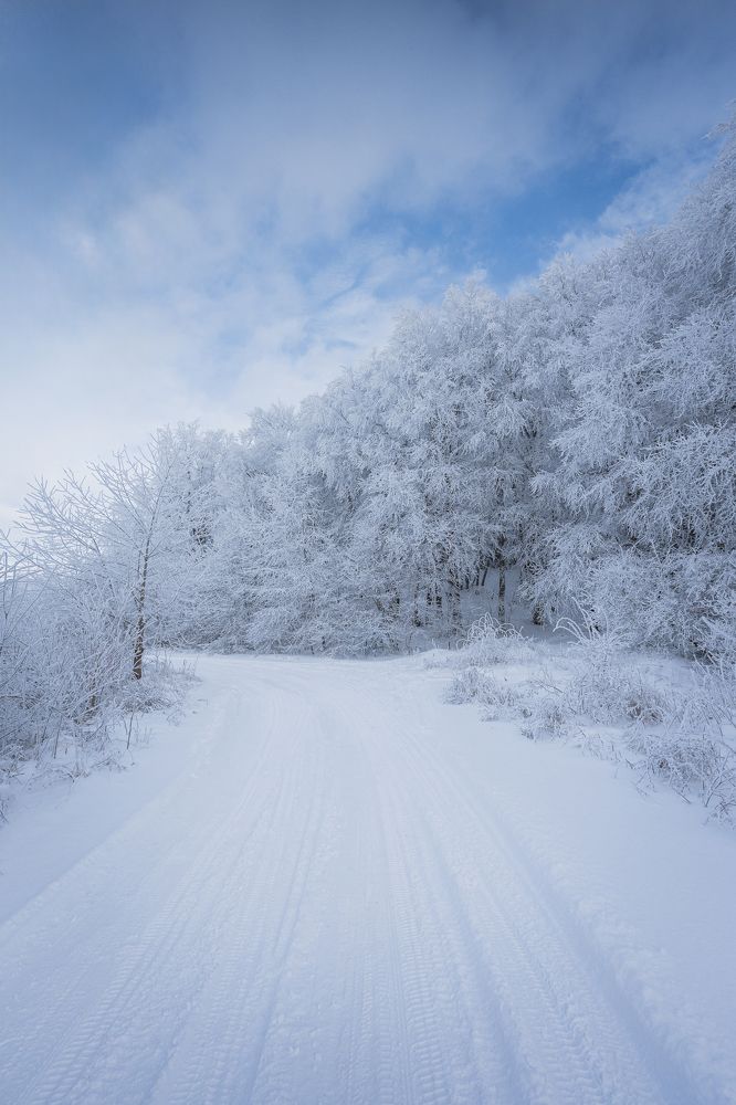 Photograph by Дмитров Андрей