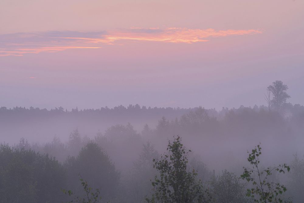 Над туманом