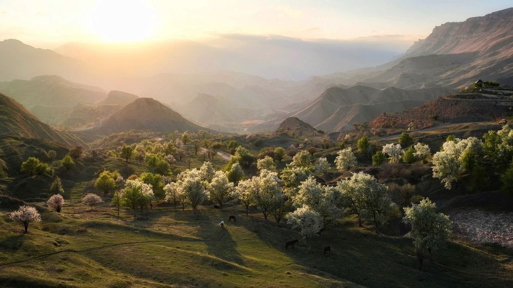 Фотография автора Дмитрий Дон