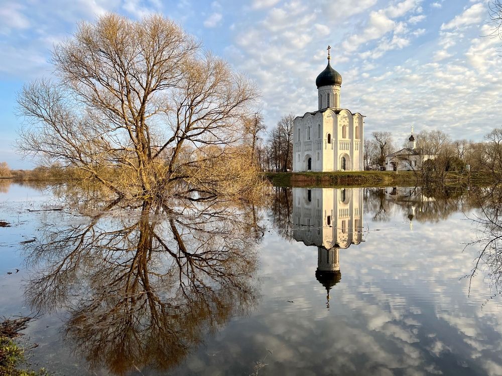 Фотография автора Дмитрий Дон
