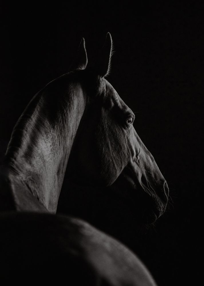 Photograph by Кристина Ксендзова