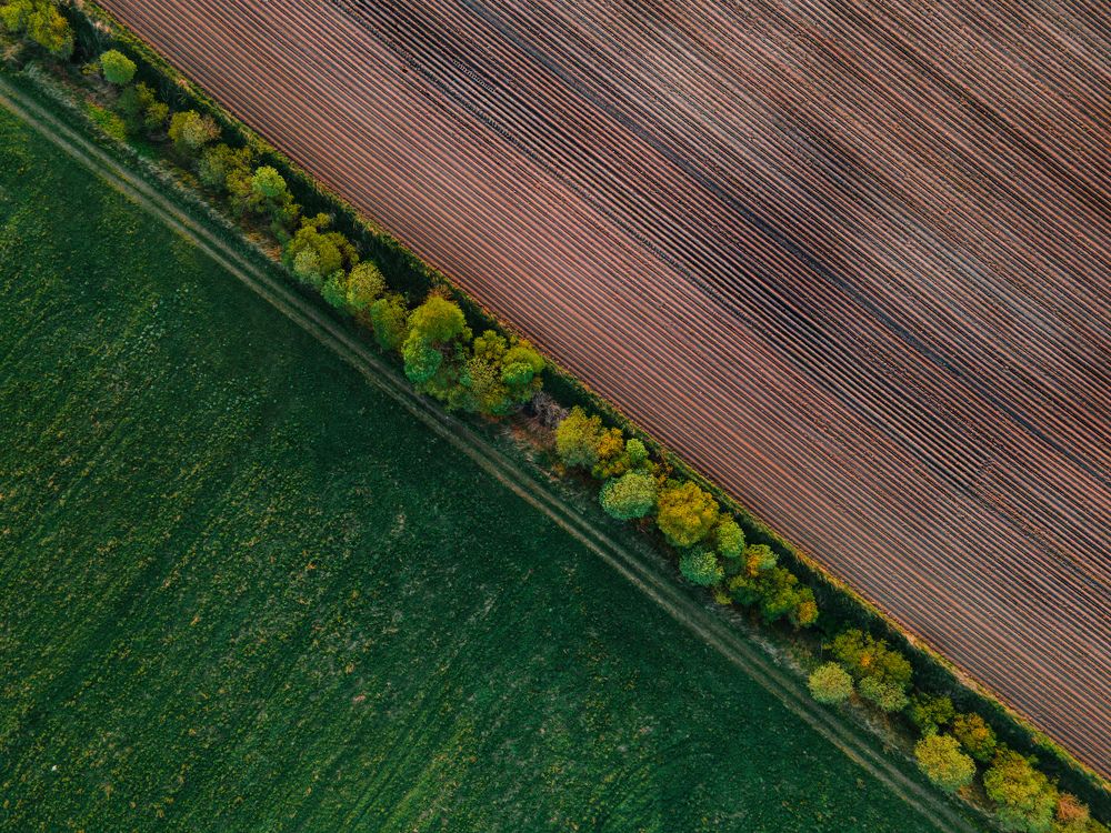 Photograph by Александр Сочнев