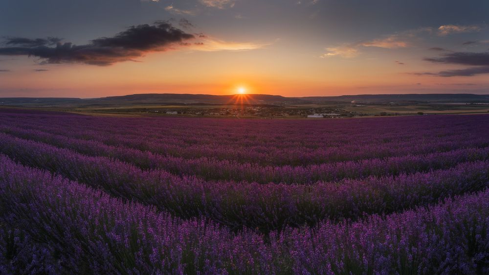 Photograph by Дмитров Андрей