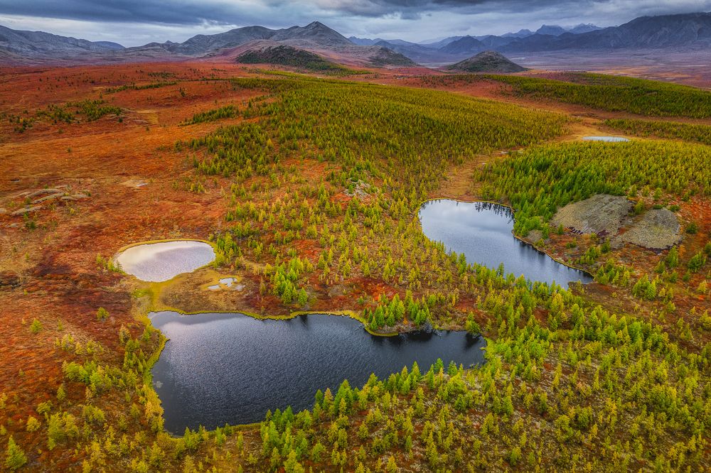 Photograph by Полякова Наталия