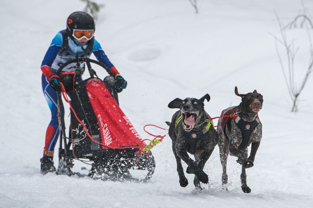 Фотография автора Владимир Коровяковский
