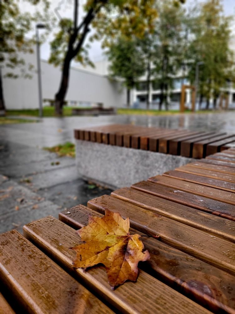 Осень в городе