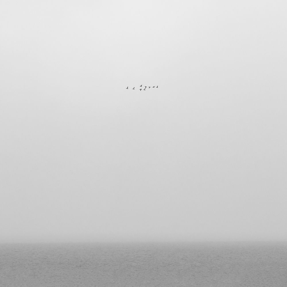 Photograph by Абросимов Александр