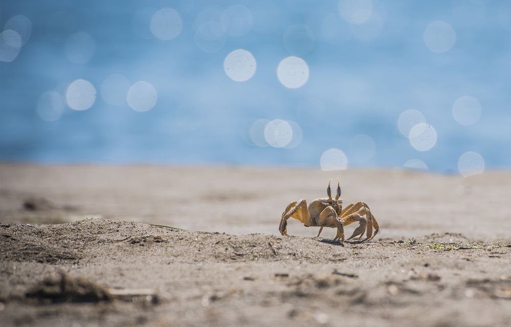 Photograph by Ekaterina Fadeeva