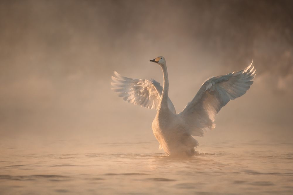 Фотография автора Рудченко Ольга