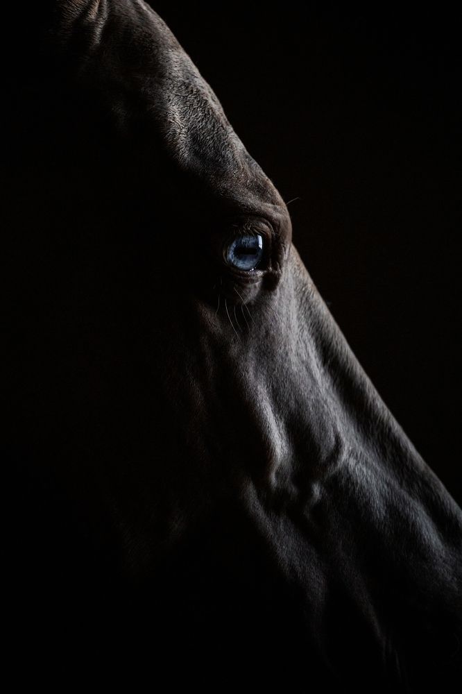 Photograph by Кристина Ксендзова