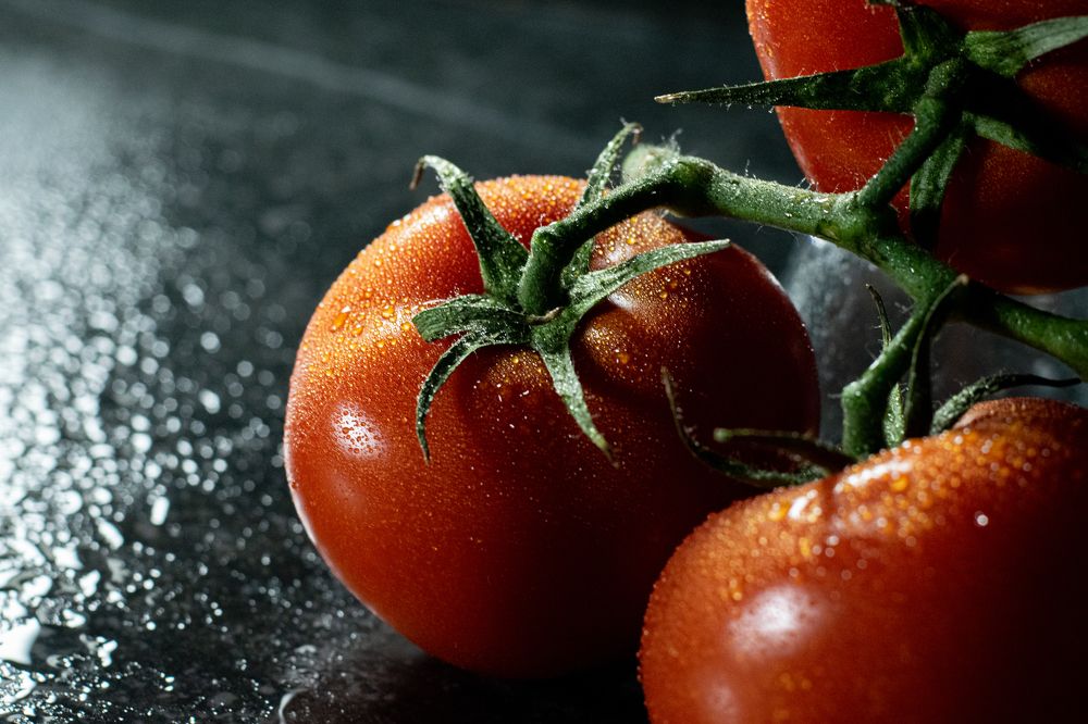 Photograph by Nora Cheprasova