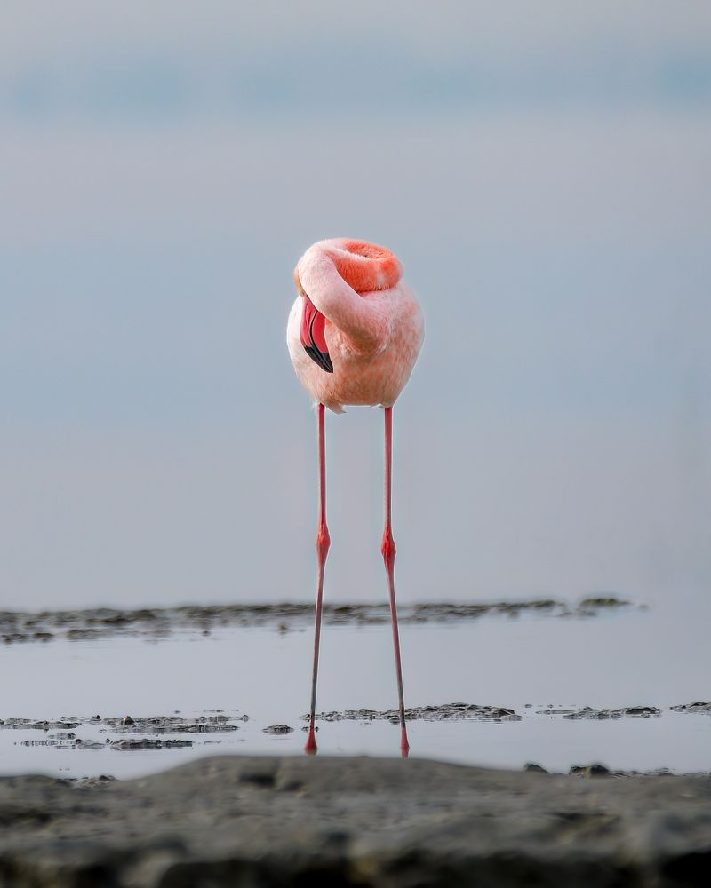 Photograph by Hassan Rokni