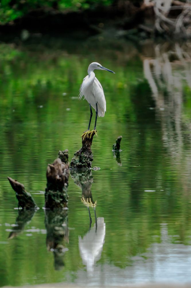 Photograph by krithiga mohan